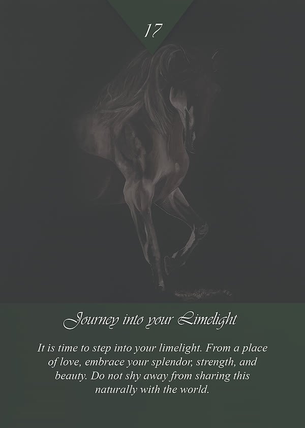 Journey into your Limelight