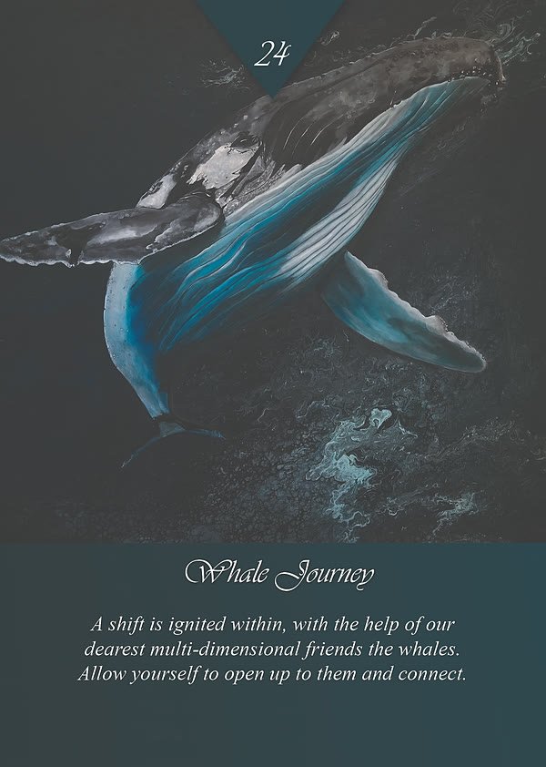 Whale Journey