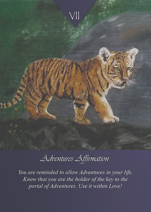 Adventures Affirmation